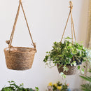Straw Hanging Baskets, Flower Baskets, Woven Flower Pots, Rattan Baskets, Chlorophytum Potted Plants, Flower Baskets, Flower Pots, Bamboo Baskets, Flower Baskets