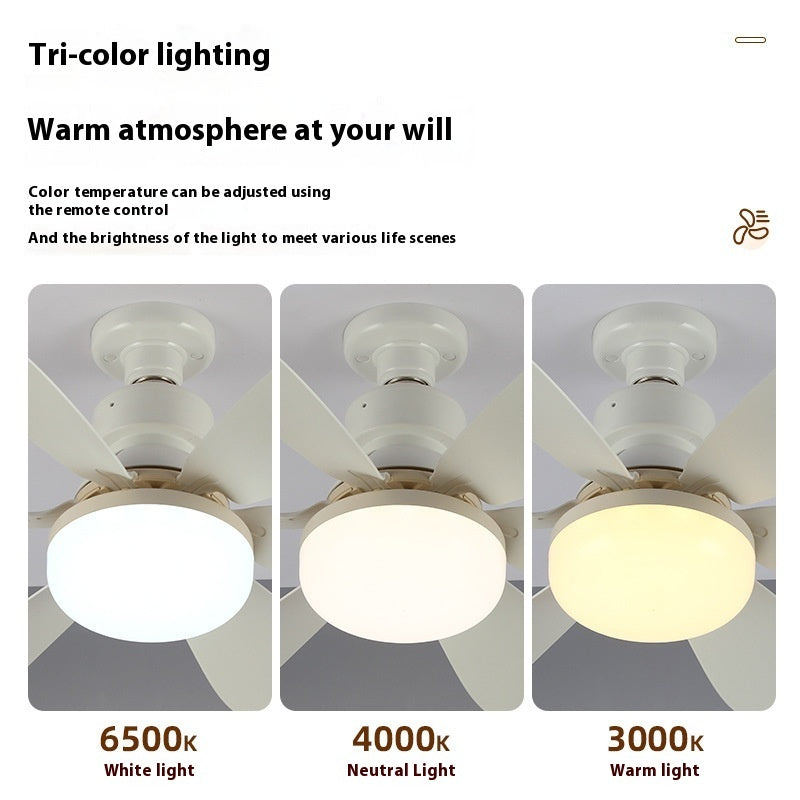 Screw Ceiling Fan | Efficient Bedroom & Living Room Cooling